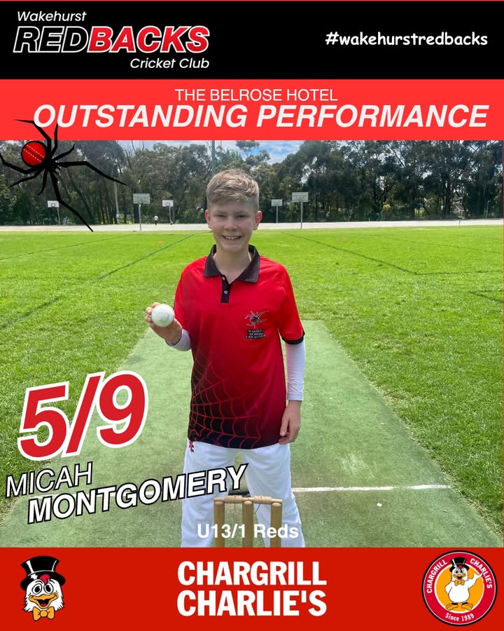 Wakehurst Redbacks Cricket Club